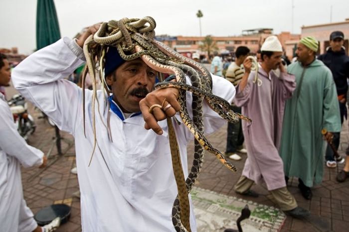 Le charmeur de serpent, frissons garantis !