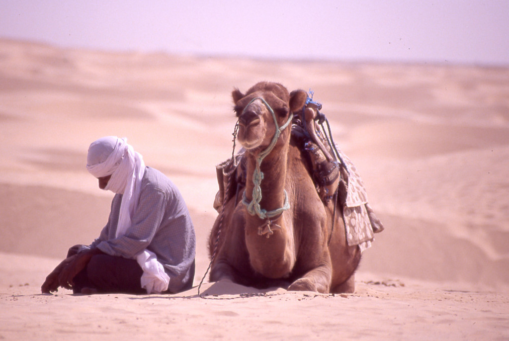 Tunisie Egypte, un circuit atypique mais incontournable !3