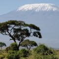 Vacances en Afrique : À la découverte des merveilles du Kenya !