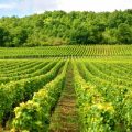 Séjour en Bourgogne