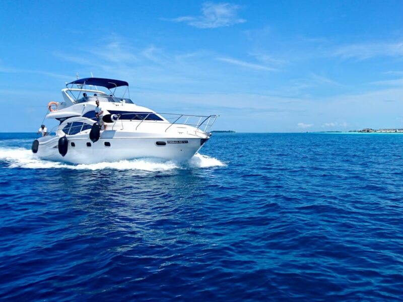 scandola_bateau_corse
