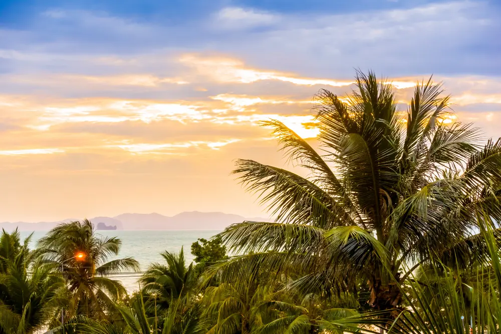 Ile tropicale coucher de soleil