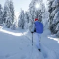 randonneurs dans la neige