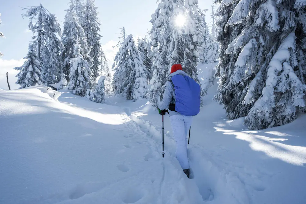 randonneurs dans la neige