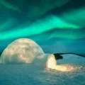 igloo illuminée sous des aurores boréales