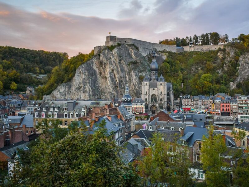 forêt des ardennes
